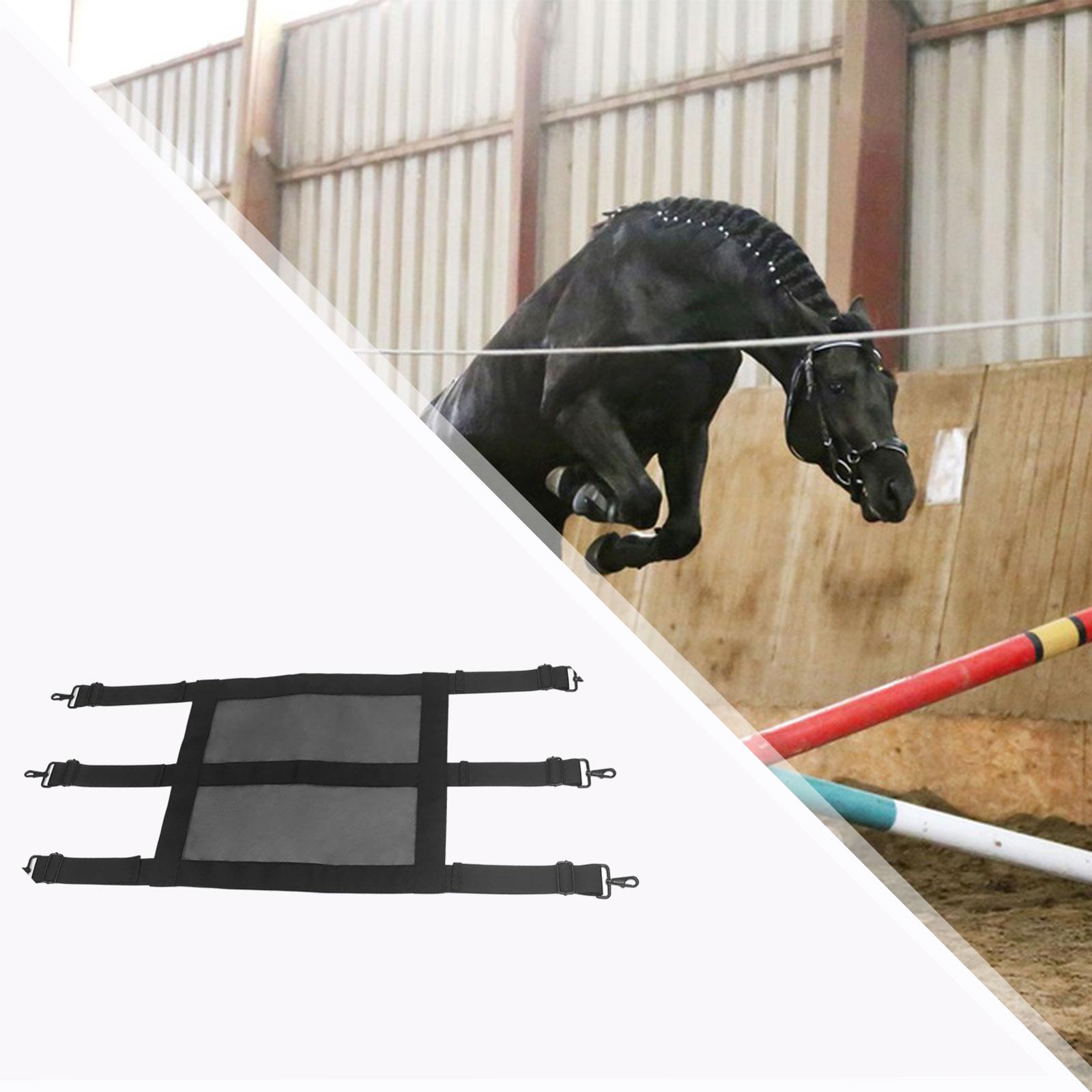 Extra Wide Mesh Horse Stall Gu - Door Chain Guard recensione e prezzo