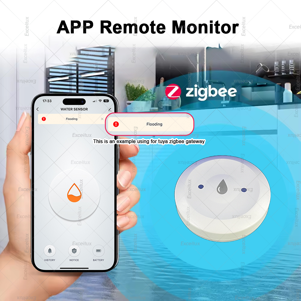 Zigbee Water Detector Leakage  - Home Security Gadgets recensione e prezzo