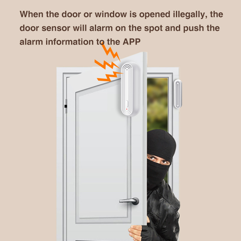 Tuya Smart WiFi Door Window Al - Home Security Gate recensione e prezzo