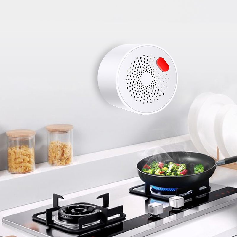 Tuya Smart Home Wifi Natural G - Home Security Gadgets recensione e prezzo