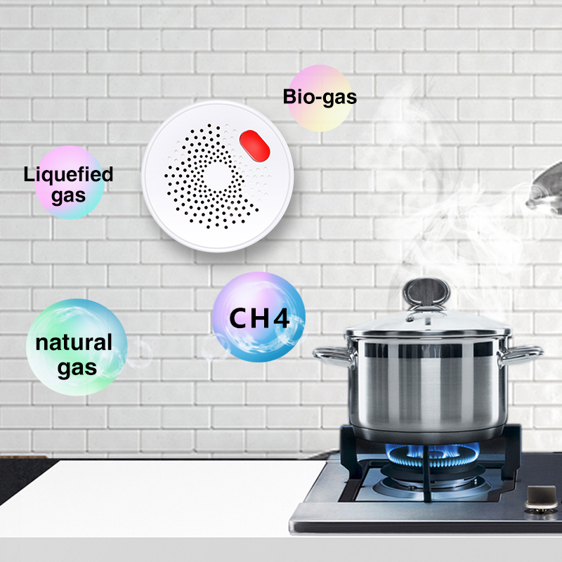 Tuya Smart Home Wifi Natural G - Home Security Gadgets recensione e prezzo