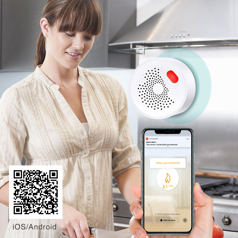 Tuya Smart Home Wifi Natural G - Home Security Gadgets recensione e prezzo